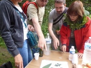 Ancinnes 2012 (94) (1)     