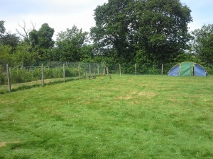 Ancinnes 20140622 161257 (3)  