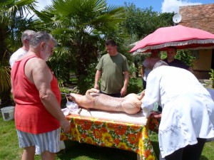 Rallye 2011 10 ans (215)       